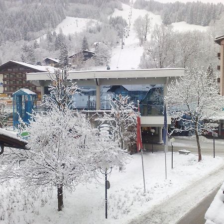 Haus Kleineisen by Châtel Reizen Zell am See Exterior foto